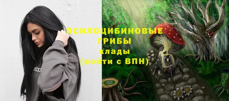 Галлюциногенные грибы Psilocybe  даркнет сайт  Артём 